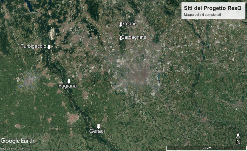 Facciamo un passo indietro…
nelle prime fasi di progetto sono stati scelti i 5 siti di indagine, situati nel @ParcoTicino e @parcogroane
👉Guarda le mappe resq.unipv.it/prodotti/2/
#farnia #Quercusrobur #deperimento
@CNRsocial_ @DiSBAcnr @unipv @UniBasilicata