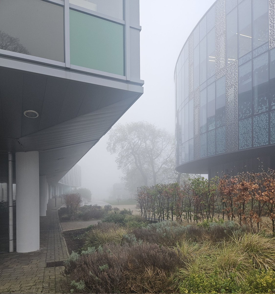 An ominous start to a Friday <a href="/roslininstitute/">The Roslin Institute</a>. Here's hoping it's not an omen for my experiments 🙈
#EarlyRisersClub #phdchat #ScienceTwitter #AcademicTwitter