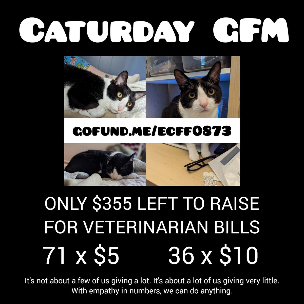 Cheyanne4UBI's tweet photo. ๐บ#Caturday๐บ #CrowdfundBasicIncome
๐๐ผ๐บ๐บ๐บ๐บ๐บ๐บ๐บ๐บ๐๐ผ
๐โโฌ๏ธhttps://t.co/X5fK1gCcoh๐พ
๐๐ป๐บ๐บ๐บ๐บ๐บ๐บ๐บ๐บ๐๐ป
PLEASE SHARE AND GIVE $5-$10 IF YOU HAVE THE MEANS โค๏ธ๐๐ป
Only 71 more people with $5 is needed https://t.co/64oM32JSRE
