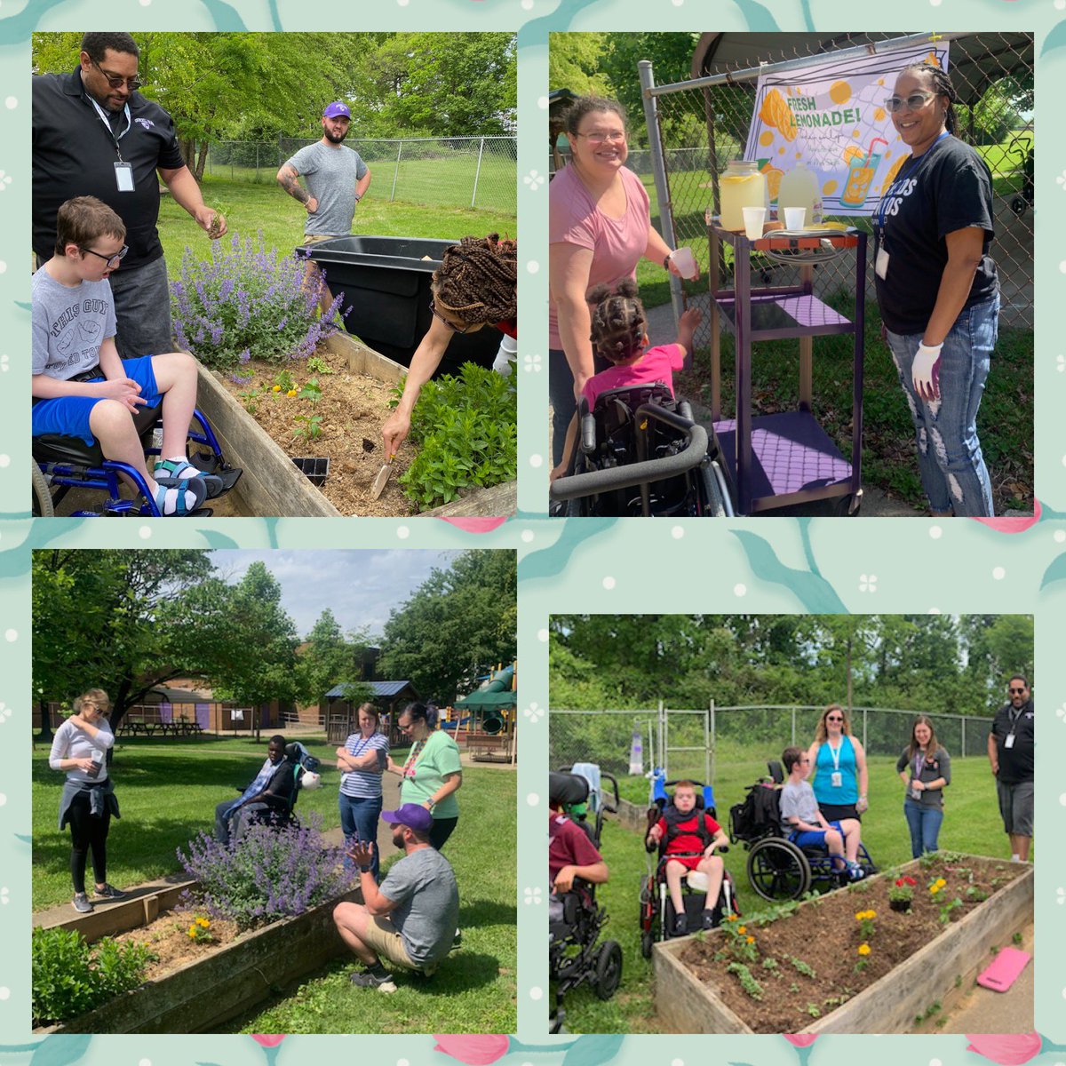 CHPCRUSADERS's tweet photo. Rm 4  and work skills hosted a community garden day! Special thanks to Ms. Charmel. who started this project and  collaborated with the school, creating life lessons to go along with it! Thank you to everyone who was able to join! #weareCHP @JCPSKY @JCPSZone2 https://t.co/5GfjRX0PcY