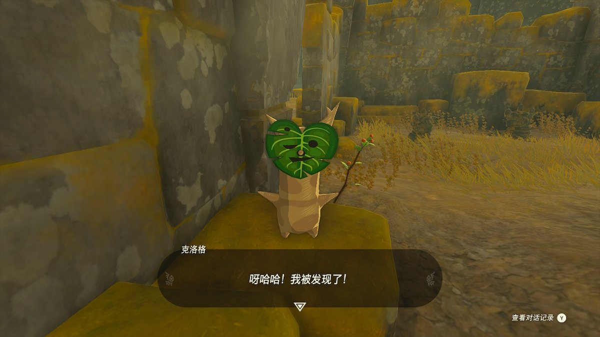 AlexHeng11's tweet photo. #TearsOfTheKingdom #王国之泪 #塞尔达传说 #Zelda #NintendoSwitch https://t.co/v8WSmldEDL