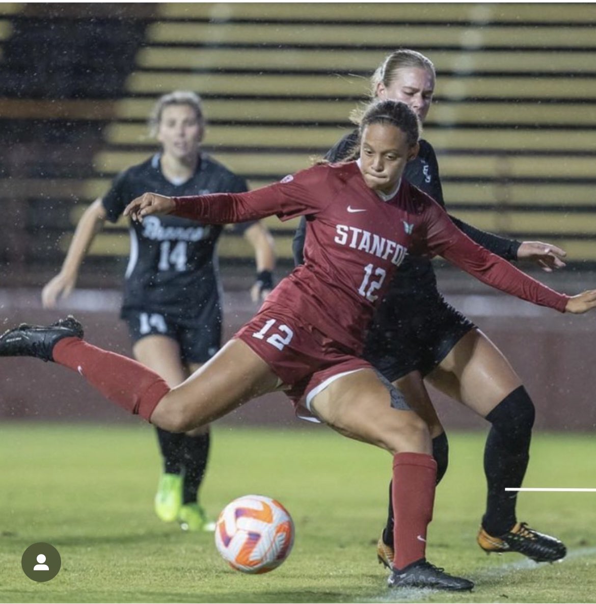 Merline Saintil tweet media