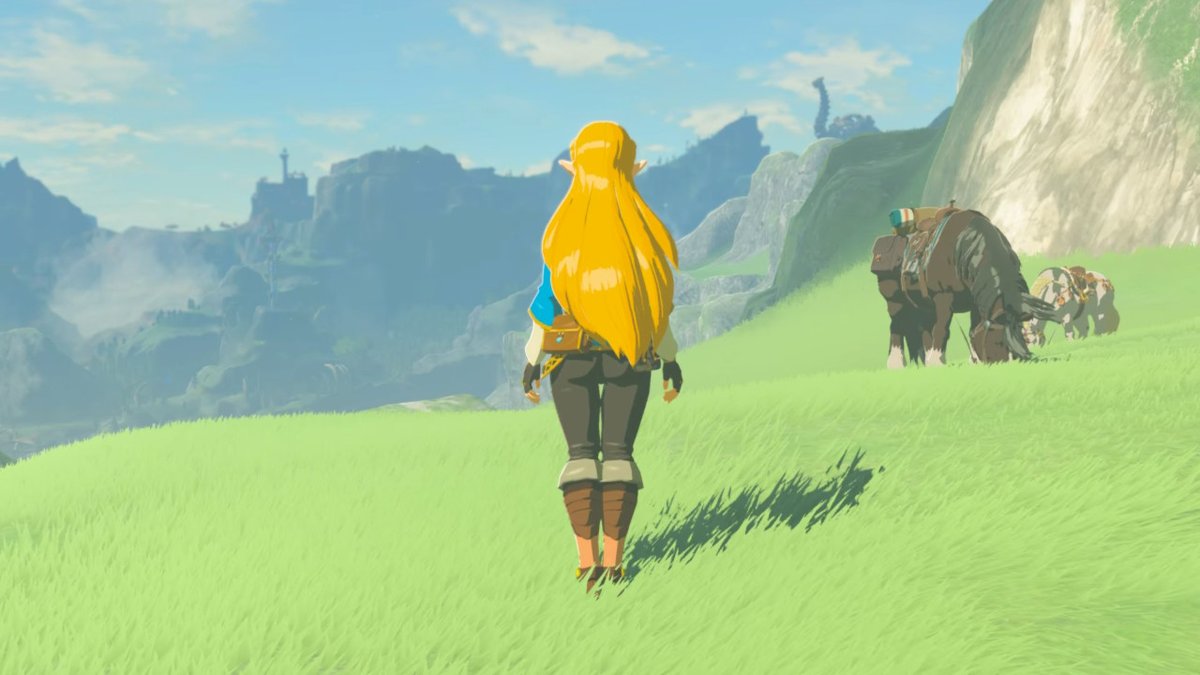 NoobyIsCrazy's tweet photo. zeldass <3 #BreathoftheWild #NintendoSwitch https://t.co/sM6ATbeZGo