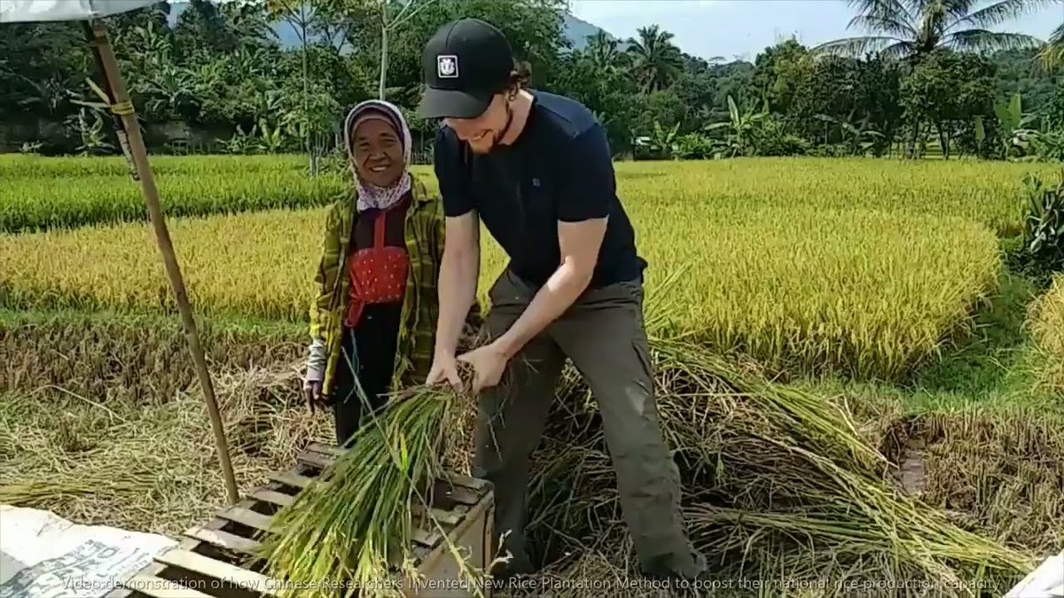 EngineeringAlls's tweet image. Chinese Researchers Invent New Rice Plantation Method (Video) #EngineeringAllcomNEWS #ChineseDiscovery #Riceplantation  engineeringall.com/new-chinese-re…