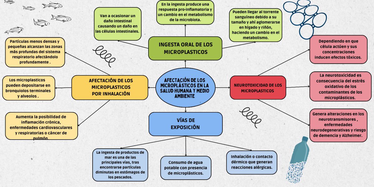 microplas_salud's tweet photo. ¿Sabías que los microplásticos dañan nuestra salud? 😯

A continuación les mostramos un mapa que diseñamos para mostrarles las afecciones en la salud humana!

#Salud #CUCS #enfermedad #Microplastics https://t.co/kmrjkwsZbD