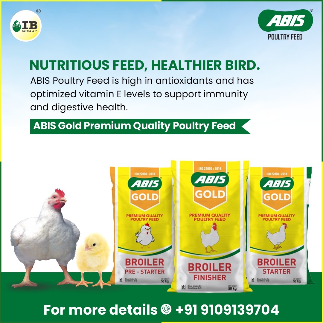 ibgroup_india's tweet photo. Only a high-yielding poultry batch ensures high-end profits.
Use #ABISGoldPoultryFeed, the most cost-effective feed for your #poultry.
#poultryfeed #poultrybird #Pelletfeed #poultryindustry #profit #growth #farmers #Poultryfarmer  #chicken #health #livestockfeed #industry https://t.co/kyTdhLNUk0