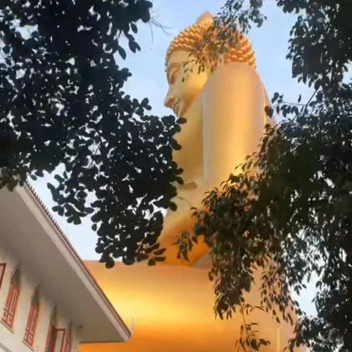 sesfuncakrwal's tweet photo. จริงใจตั้งต่อสร้าง
ทางเรื่องศิลธรรม
ปลดปล่อยกองเวรกรรม
ที่ติดตามนำห้อย
ผลบุญคอยเชิดชู
ช่วยดึงให้สูงส่ง
เวรร้ายปลงปล่อยให้
ไกลล้างห่างหนี

จริงใจเหมือนพี่น้อง
ถนอมเผ่าพงษ์พันธุ์
ร่วมกันปันกุศล
แบ่งผลบุญสร้าง
ปลดปล่อยวางแนวร้าย
ใจกายเหม็นเน่า
รับเอาพรใหญ่ล้ำ
ชูค้ำยื่นยอ https://t.co/H0vYgZo1wi