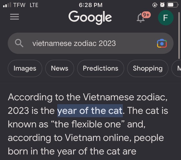 NapCyber's tweet photo. @Crypto_Sisters #copycats ina #catyear $smudge https://t.co/0n04J9UFfI