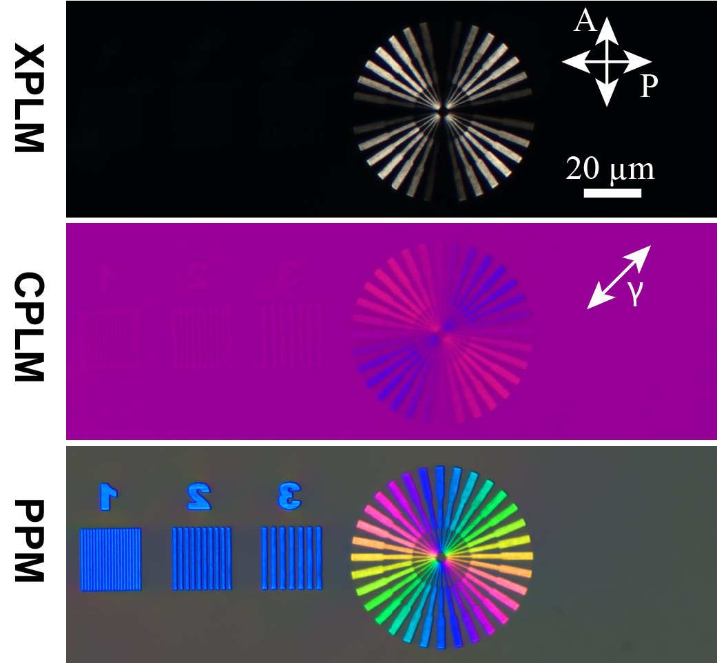 mshribak's tweet image. Birefringent test target
The slow axis is vertical in numbers and grids, and it is radial in the star. The retardance is 20nm. XPLM -crossed polarizer P and analyzer A; CPLM – with red (unit) waveplate; PPM - polychromatic polarizing microscope. 
#polarization #birefringence