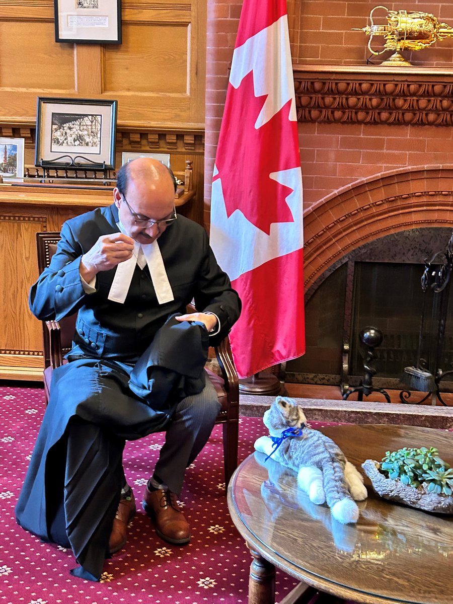 BCLegSpeaker's tweet photo. As the spring sitting comes to an end, I am sharing a #tbt photo of me mending my speaker's robe while @MaceyHansard watches patiently. @BCLegislature https://t.co/ozX6sUvyH4