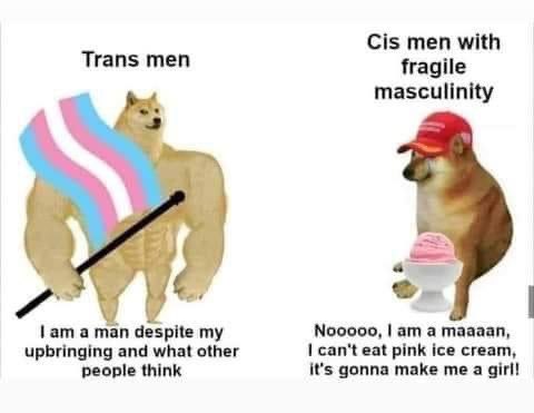 the manosphere should look to trans men for how a real man conducts himself https://t.co/nX255pkEJ7<a href="/tag/punk"class="tags"><span>#punk</span></a><a href="/tag/trans"class="tags"><span>#trans</span></a><a href="/tag/nonbinary"class="tags"><span>#nonbinary</span></a><a href="/tag/enby"class="tags"><span>#enby</span></a>