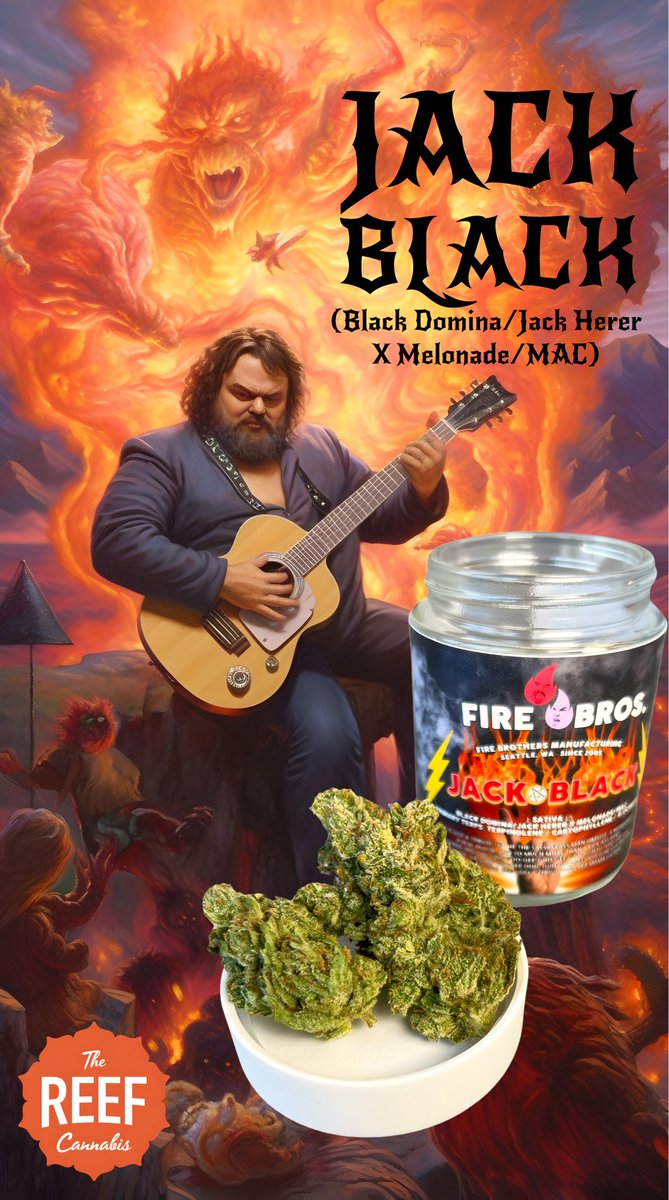 JACK BLACK
from Fire Bros 🔥

#jackblack #strainart #aiart #nugporn #midjourney