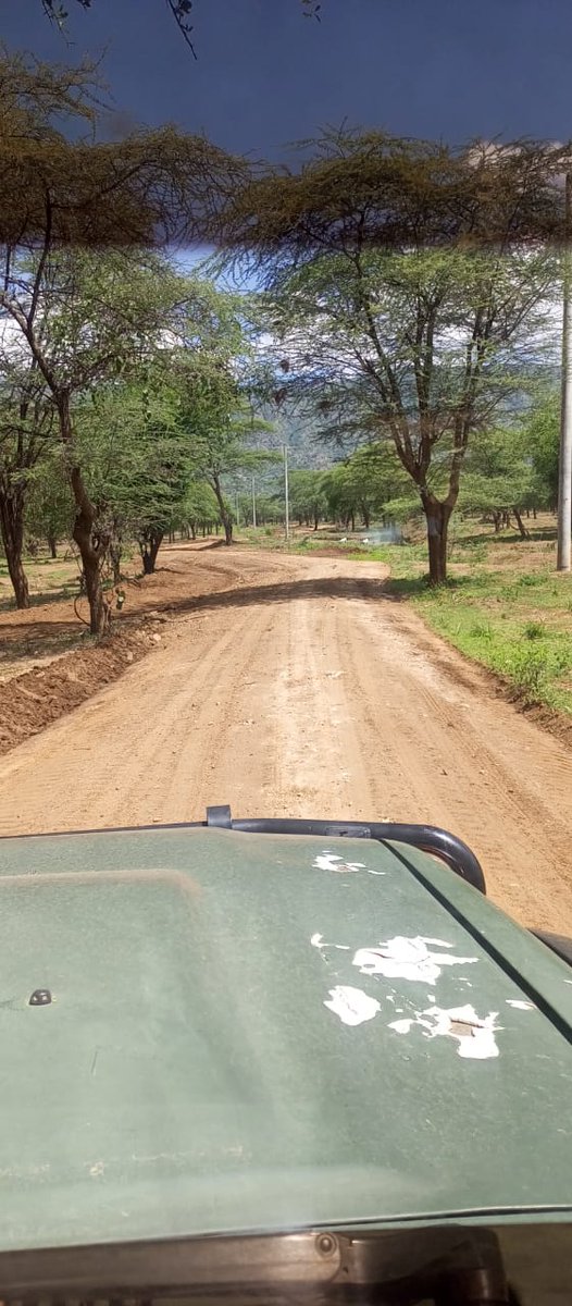 Wisley Rotich tweet media