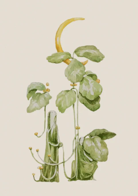 Drop something green from your gallery 