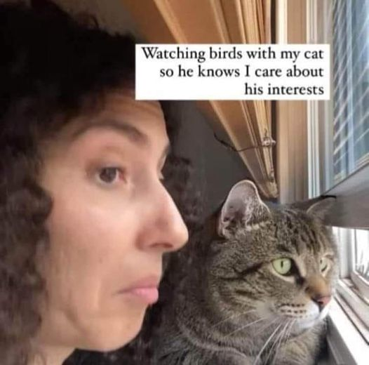 WholesomeMeme's tweet photo. https://t.co/acsxxytzEc