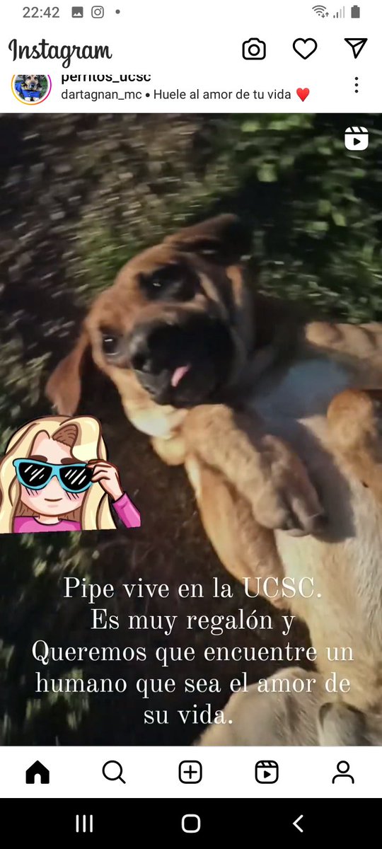 Katherin8782818's tweet image. #Pippe 😎