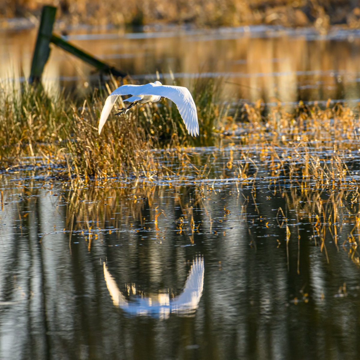 Marvin Smith Photography (@marvinesmith) on Twitter photo 