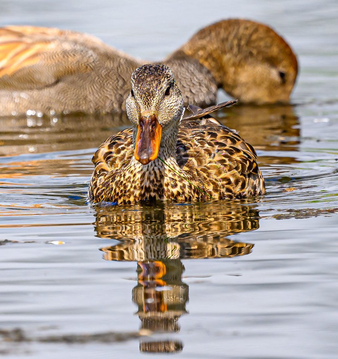 Marvin Smith Photography (@marvinesmith) on Twitter photo 