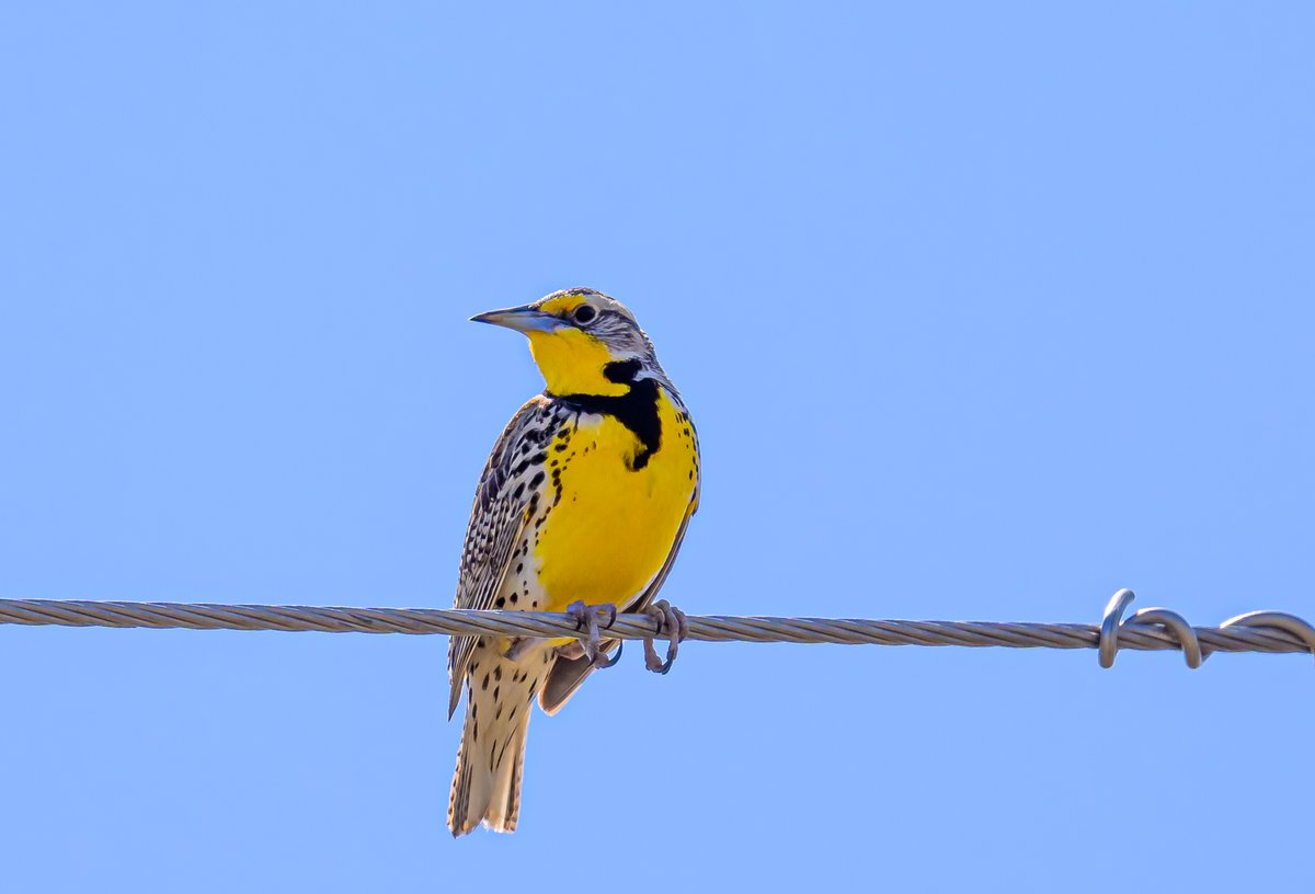 Marvin Smith Photography (@marvinesmith) on Twitter photo 