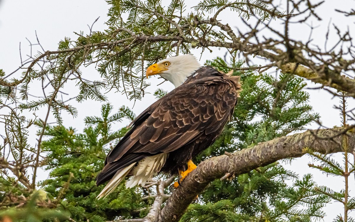 Marvin Smith Photography (@marvinesmith) on Twitter photo 