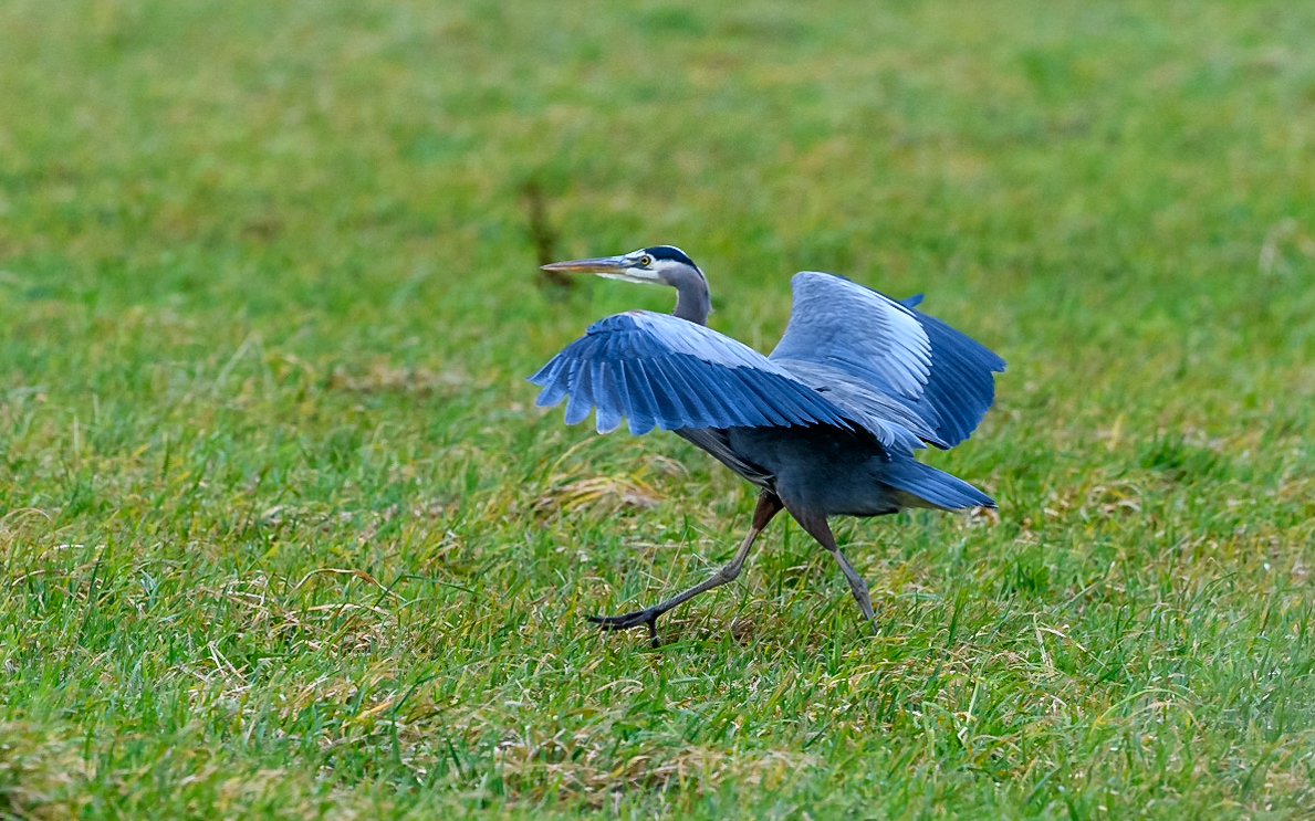 Marvin Smith Photography (@marvinesmith) on Twitter photo 