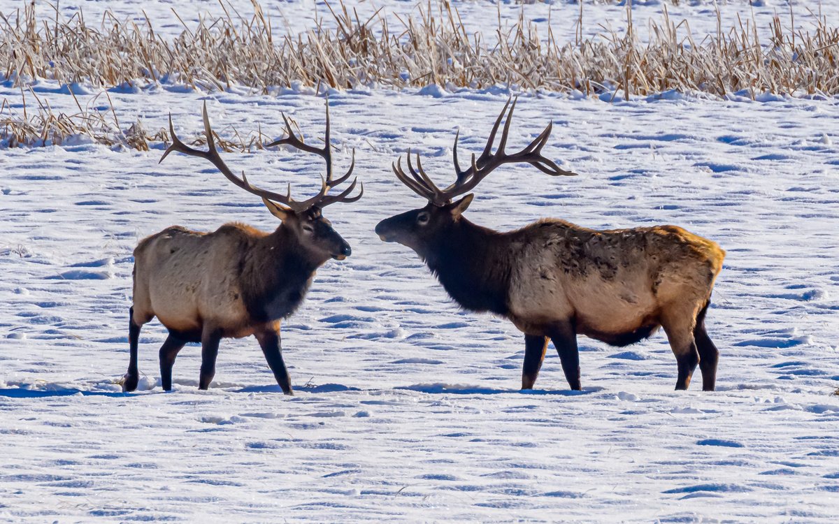 Marvin Smith Photography (@marvinesmith) on Twitter photo 