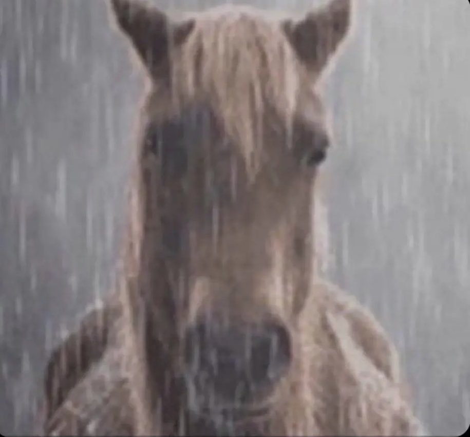 bajajnqnaian's tweet image. 