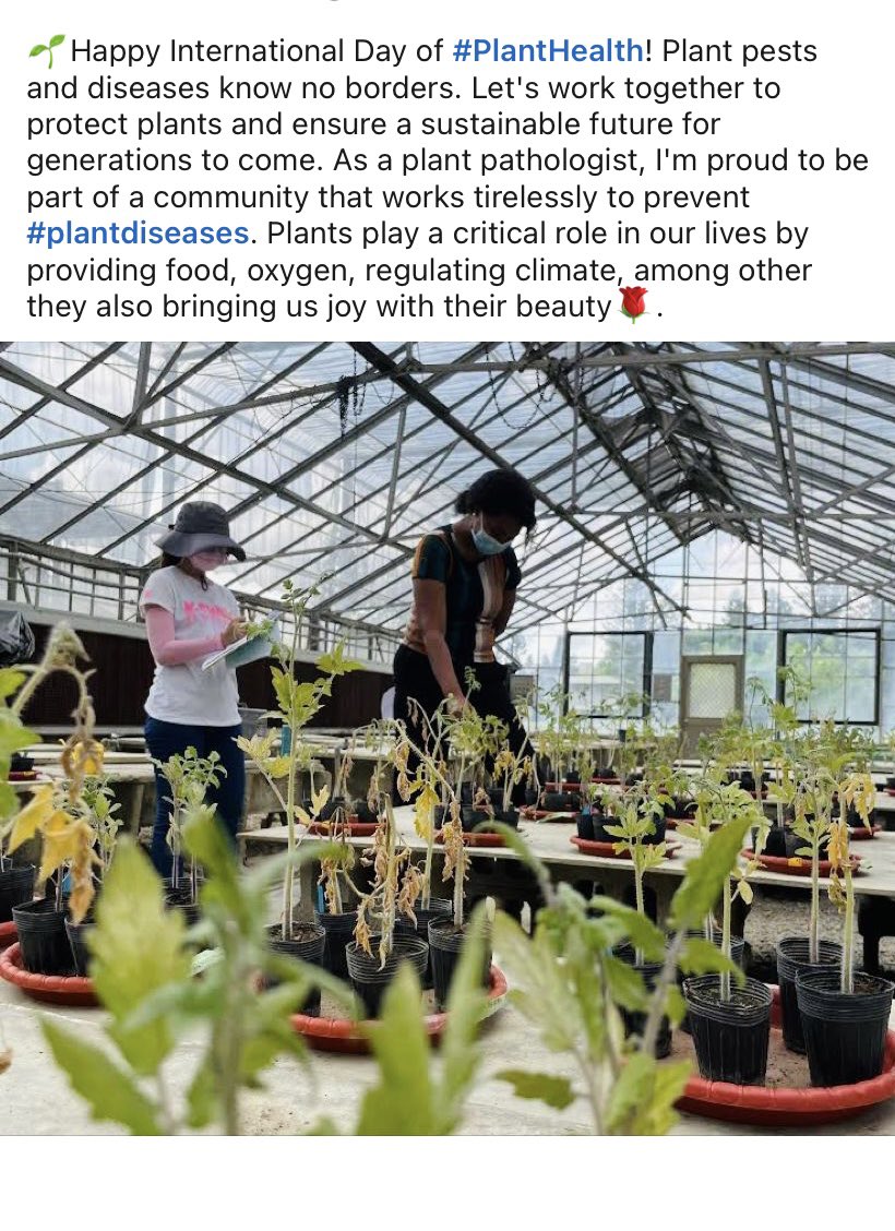 #PlantHealthDay 
<a href="/phytopathafrica/">African Phytopathology Group</a> <a href="/plantdisease/">The American Phytopathological Society</a> <a href="/WorldVegCenter/">World Vegetable Center (WorldVeg)</a>