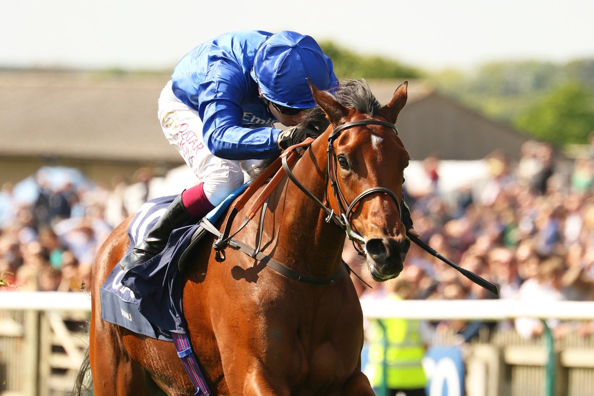 godolphin's tweet photo. GIVEAWAY🏆 
To celebrate Mawj winning the G1 1,000 Guineas @NewmarketRace last week, we are giving away one of our new edition caps signed by her trainer Saeed bin Suroor 🏇  

How to enter: 
🔵Make sure you're following us 
🔵Like and retweet this post 
🔵Tag someone you think would love to win this!  

Want to get your hands on some more Godolphin merch? Head to https://t.co/Pvb31oM9lG today!🛍️ #ShopGodolphin

Giveaway closes 19/05/23