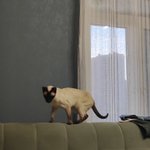 Photo by копатыч плоский𓆝 (@MypeH_)