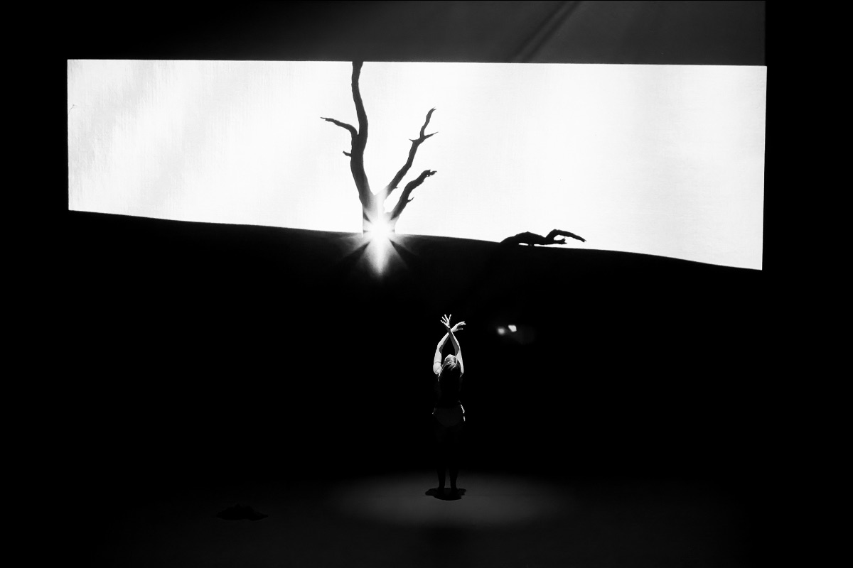 Isabelle Beernaert tweet media