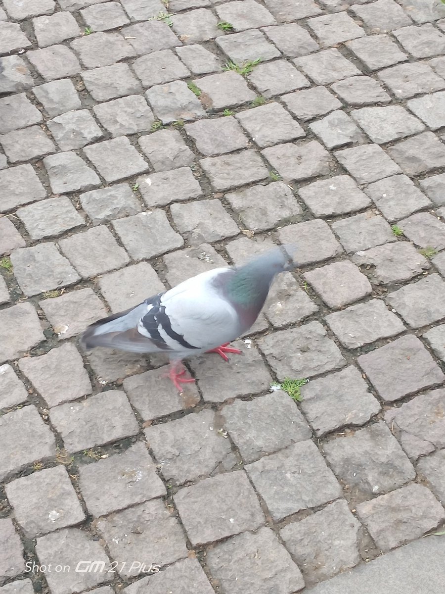 Hepimize uğur umut sevgi mutluluk getirsin canlarım