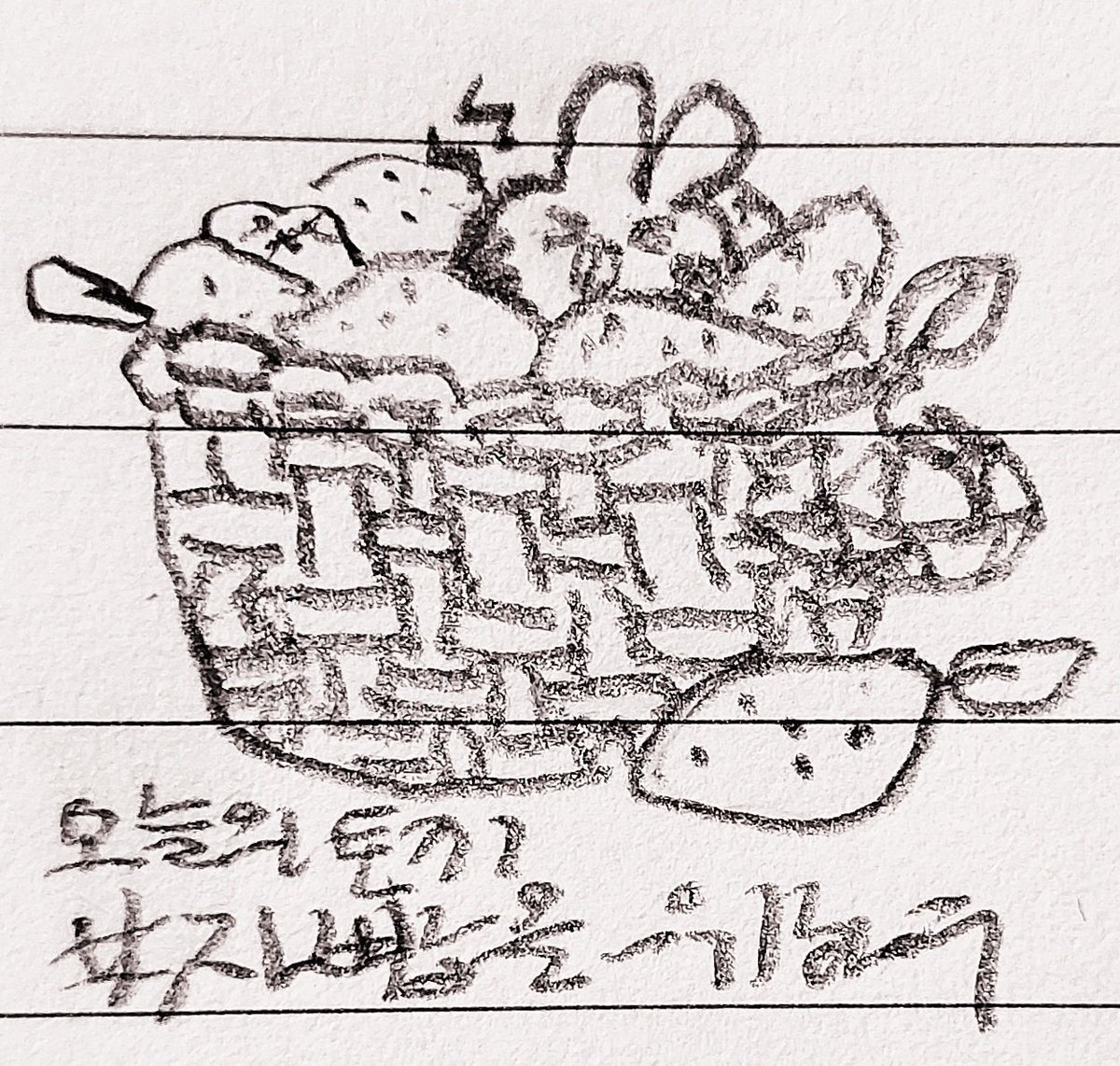 오늘의 토끼 tweet media