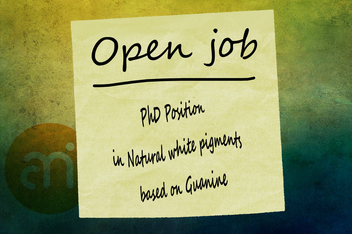 MerkleInstitute's tweet photo. We have an opening for a #PhD student in the @AMI_Physics group in #collaboration with the @UnifrPhysics Soft Matter and #Photonics group. The successful candidate will investigate white pigments based on guanine. All the details available here: https://t.co/li85cMQhtM https://t.co/4Z7CRk05cw