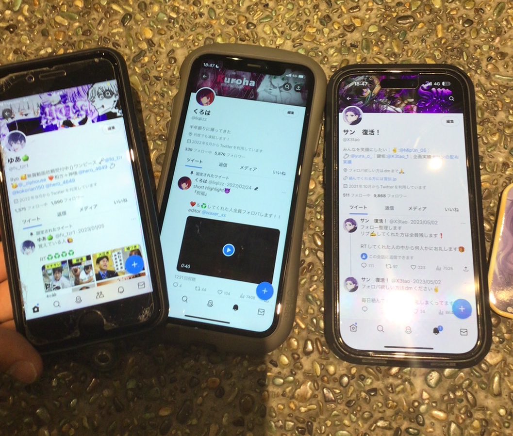 らんまる (@ranmarufn) / Posts / X