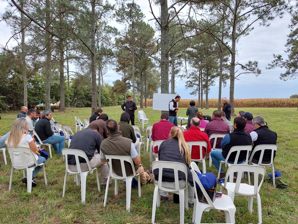 Lore Garcia 🌱🌽🌎✈🐾🎾 tweet media