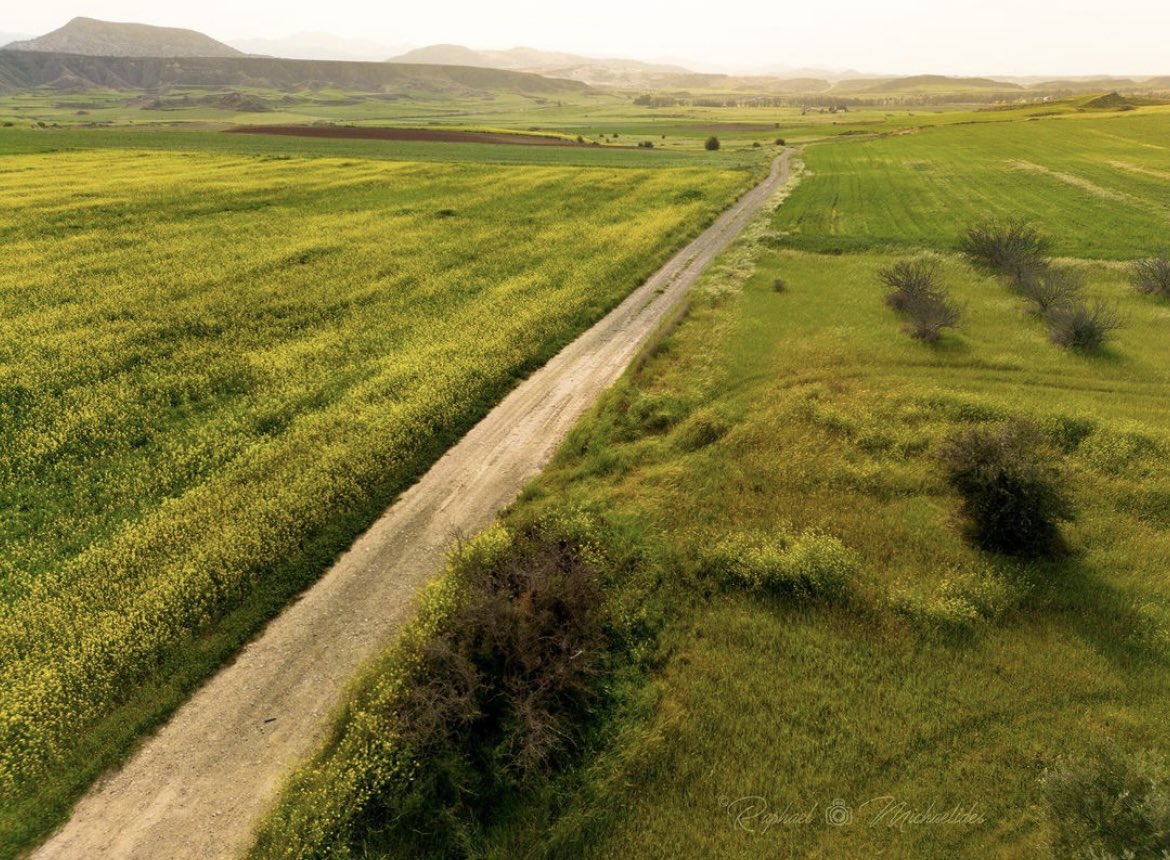 Fall in Love with Cyprus. Photo by @raphael_michaelides  #cyprus #lovecyprus #zipern #visitcyprus #travel #fields #holidays #explore  #photography #cyprusonlens #europe #pic #cyprustourism #cyprusphotographer #travelblogger #travelphotography #cyprusphotography #cyprusphoto
