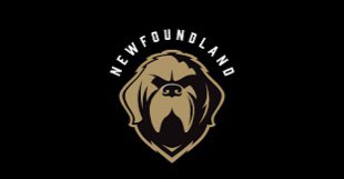 AugustaEHarris's tweet photo. Come support North East United Soccer Club at the upcoming hockey game this Saturday May 13th at 7pm 
By purchasing tickets at this link or by using promo code NEUSC 

https://t.co/6P3AOGXMKe https://t.co/lfIhcpDovb