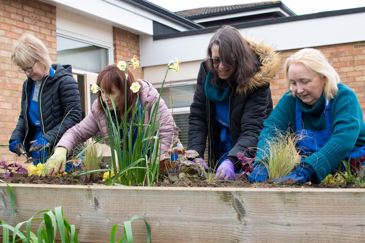 AmpliusLiving's tweet image. Aileen Evans (@Bushbell), our Group Chief Executive, recently attended one of our gardening for #wellbeing sessions and got to know some of those taking part.  
#WhatWeDoMatters