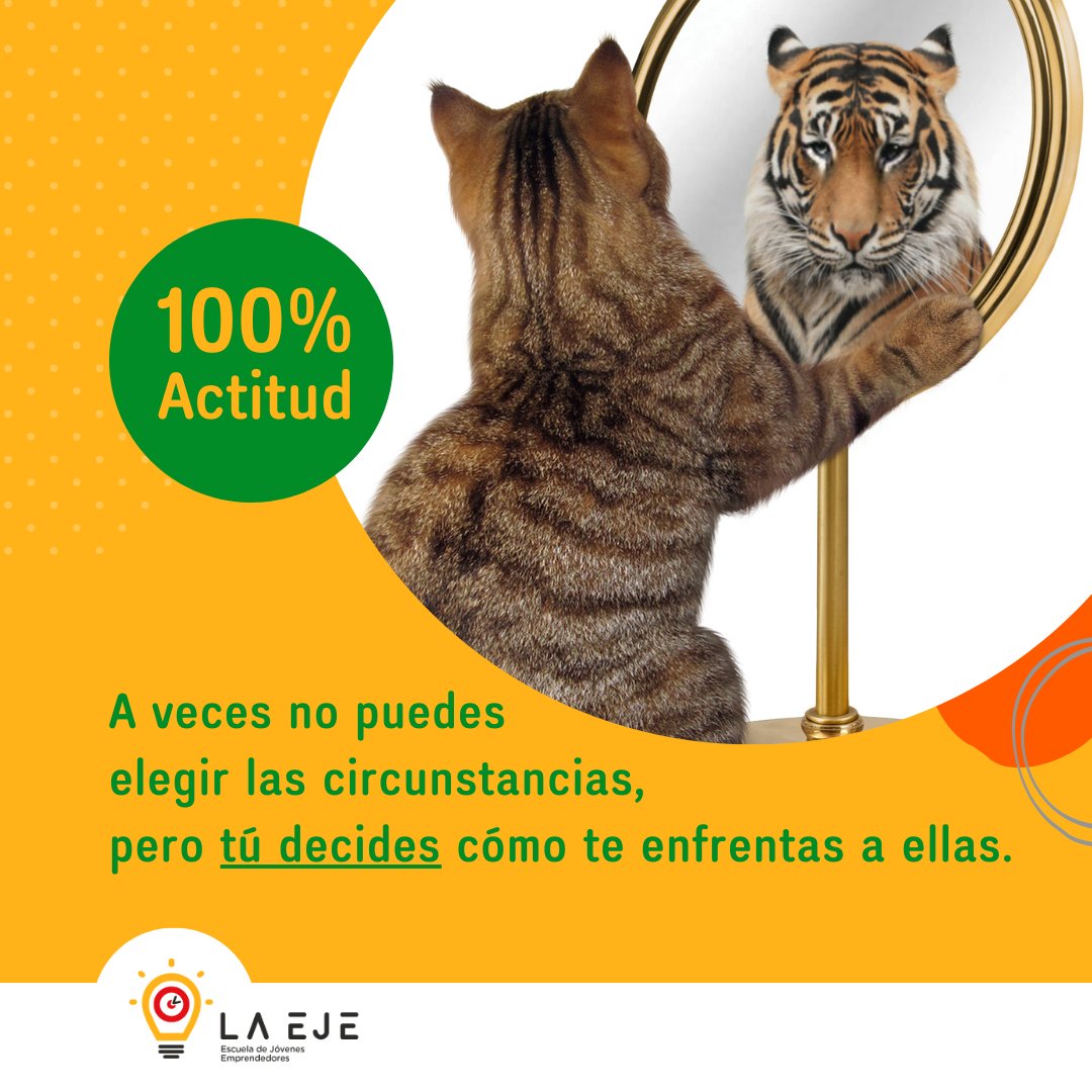 la_eje's tweet photo. ✨En la vida, no siempre podemos elegir nuestras circunstancias, pero sí podemos elegir nuestra #actitud  frente a ellas. ¡No subestimes el poder de tu determinación y resiliencia! 💪 
#SomosEJE #FelizViernesATodos #motivacion #softskills #juventud https://t.co/KjnRXtW7zn