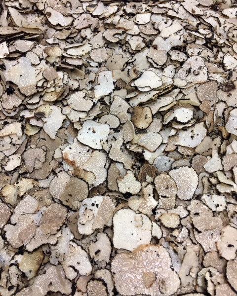 Manjares d la Tierra tweet media