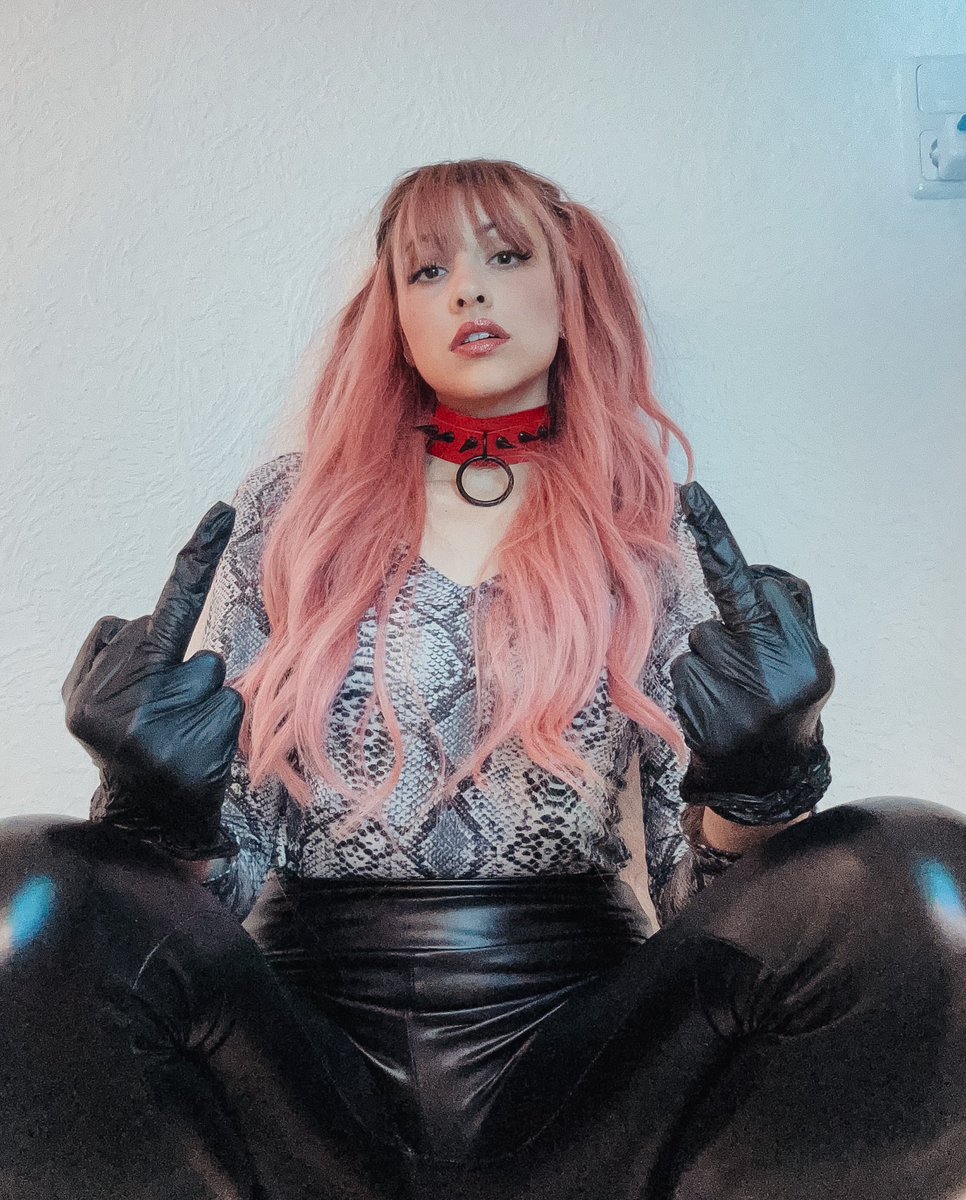 mighty_madeline's tweet photo. Die Herrin ist extrem schlecht gelaunt. Heitere mich auf Loser Simp. Zeig mir wie erbärmlich du bist, Freak! Belustige mich, beschenke mich! Like und teile diesen Tweet und bedank dich dafür.

Geldherrin Geldsklave findom femdom Zahlschwein zahlsklave paypig gloves choker Leder https://t.co/57LDEJlGQl