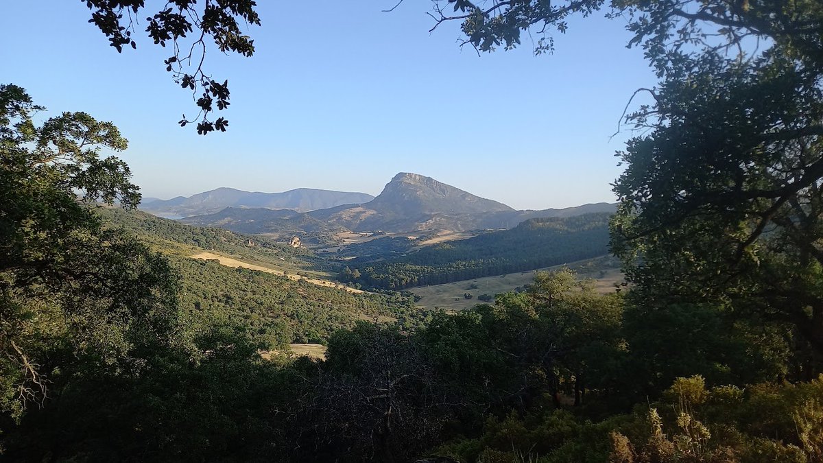 phenogirl's tweet photo. Last three days we have been intensively and collaborately working in developping different R packages, a workshop organized by @frod_san in a wonderful site, Grazalema mountains. It has been hard work, but very fun! We have learnt very much! #roxygen2 #openscience #git https://t.co/m7nIRNIYay