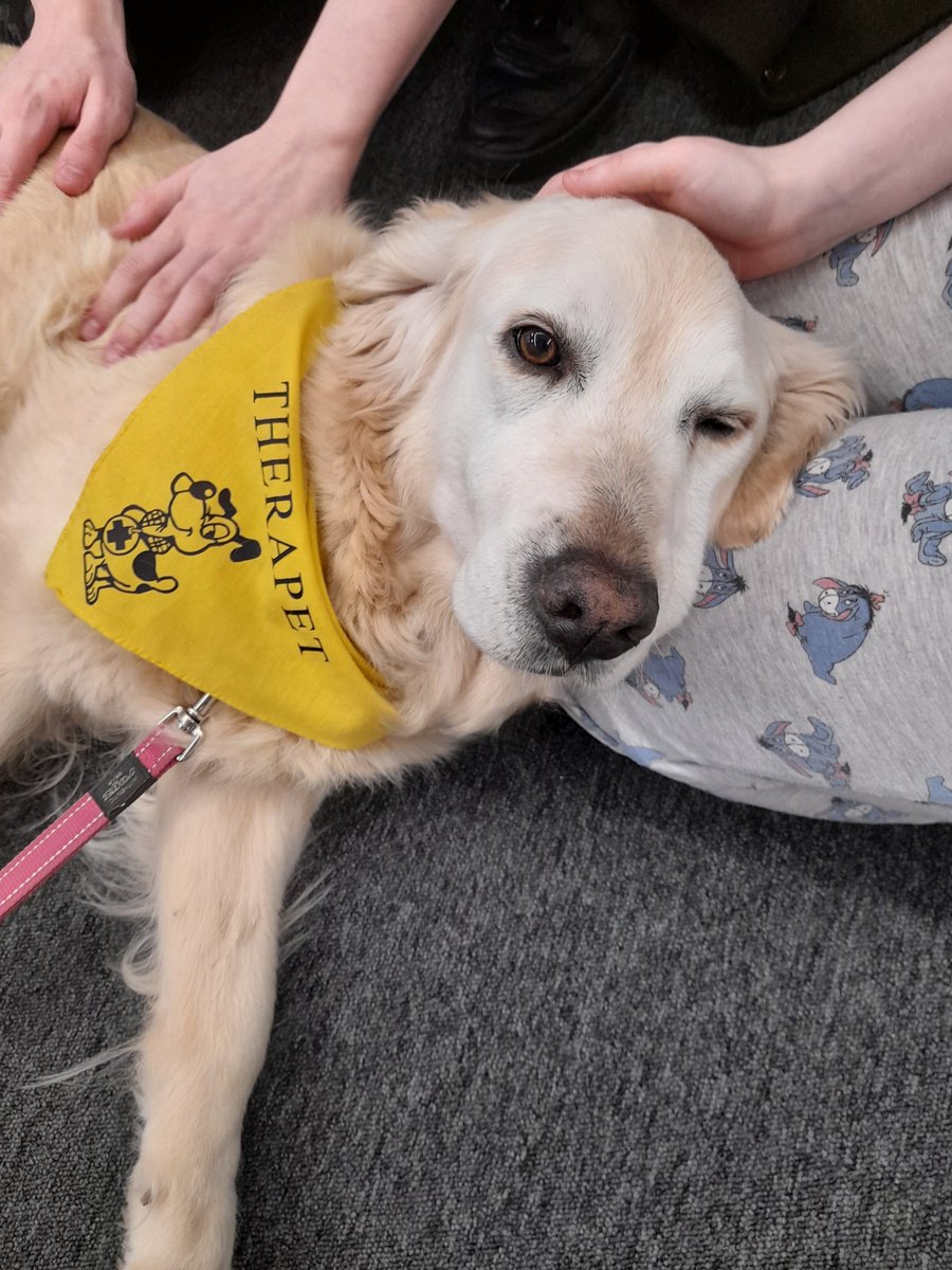 Jenna Robson CLDW tweet media