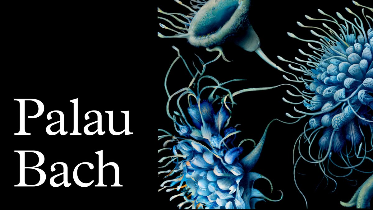 Palau de la Música Catalana tweet media