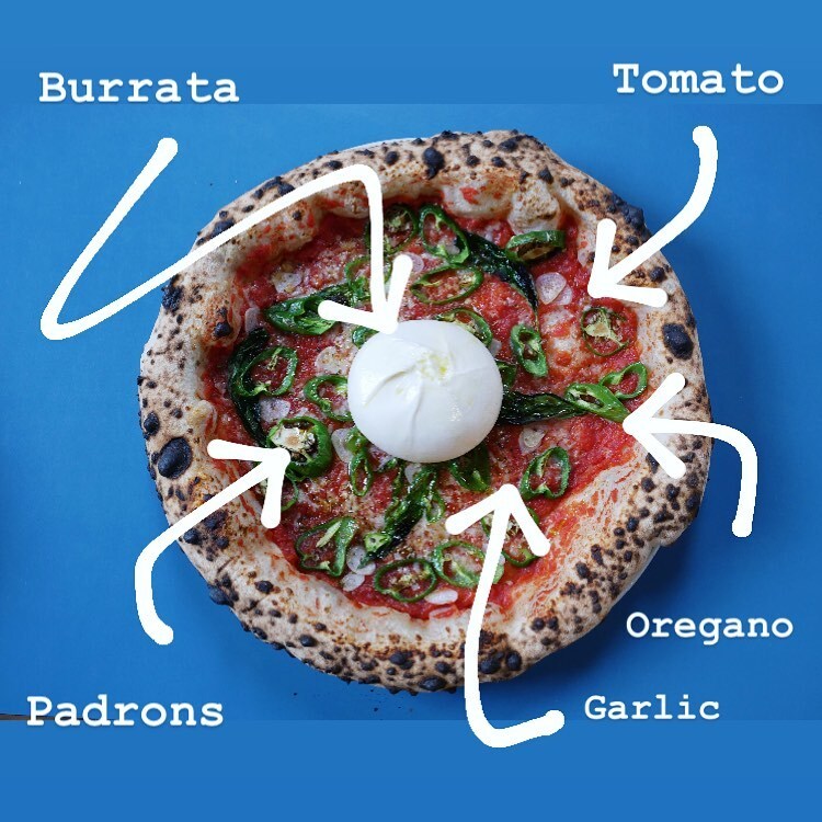 Burrata Obama - tomato, oregano, garlic, basil, padrons &amp; the tastiest burrata we’ve found #spring23