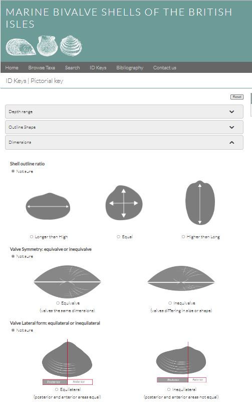 Cardiff Curator tweet media