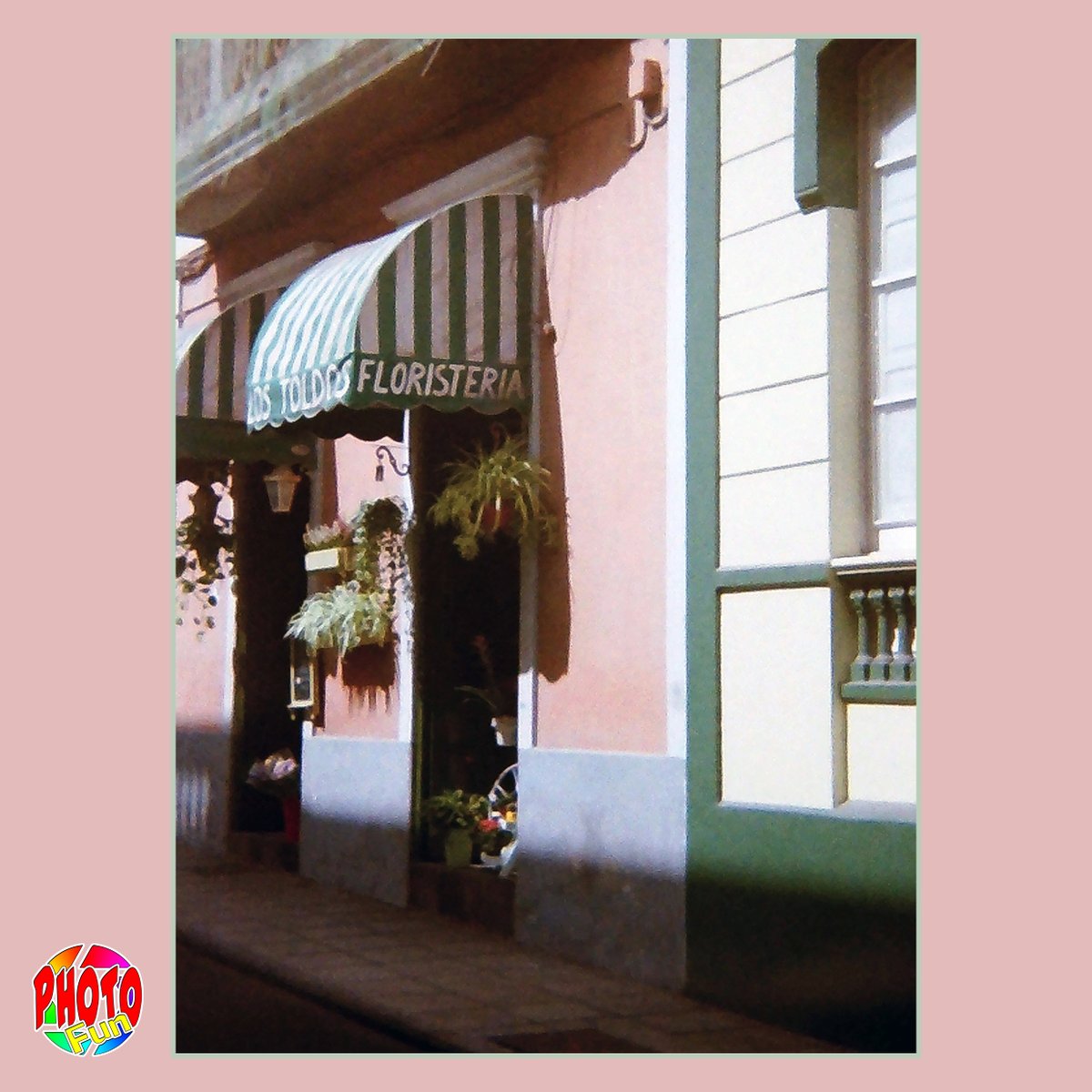 PhotoFunGC's tweet photo. Concord 110EF 1983 Lomography Pocketfilm Tiger 200 ISO 110 Floristeria #concordcamera #110film #lomography #flowers #flowershop #laspalmas #vegueta #grancanaria #photography #analogphotography #photofun https://t.co/xFmuJc0oER