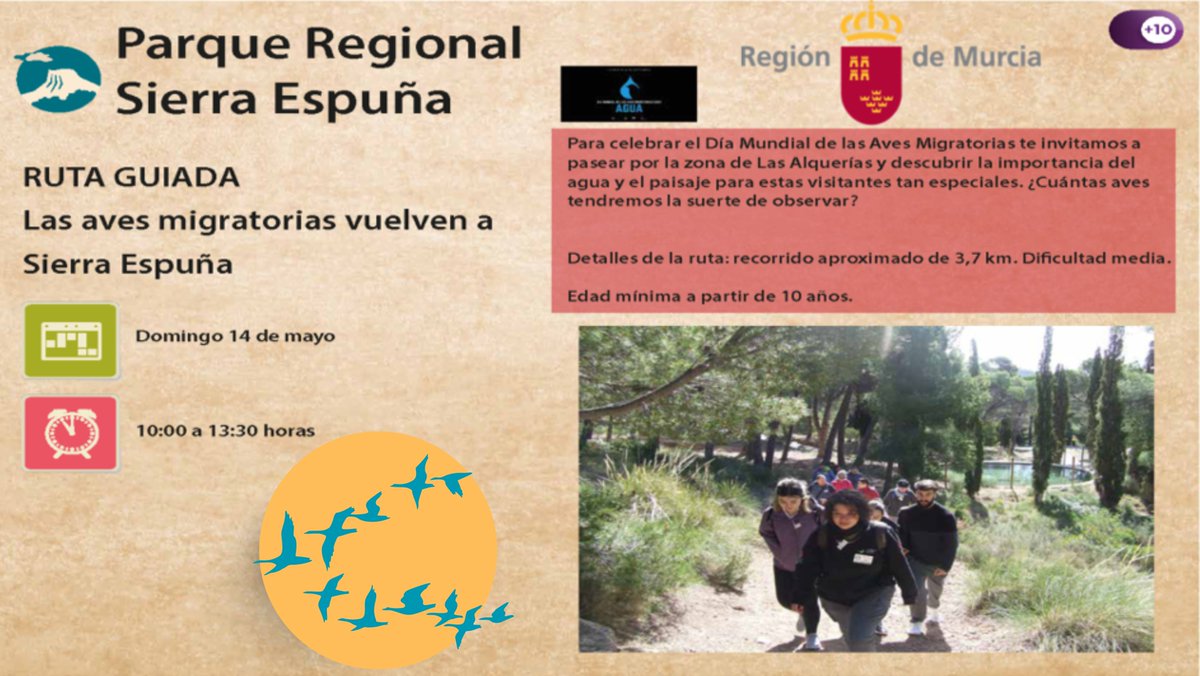 SierraEspunaPR's tweet photo. Todavía quedan algunas plazas para celebrar este domingo el #DiaMundialdelasAvesMigratorias en #SierraEspuñaPR 🐦
¿Te apuntas a nuestra ruta guiada? 😃
Inscríbete aquí ⬇️
https://t.co/N0wx9dThGZ
#WorldMigratoryBirdDay #WMBD2023 #SingFlySoar #LikeABird #ForNature https://t.co/RnXQcK3Uix