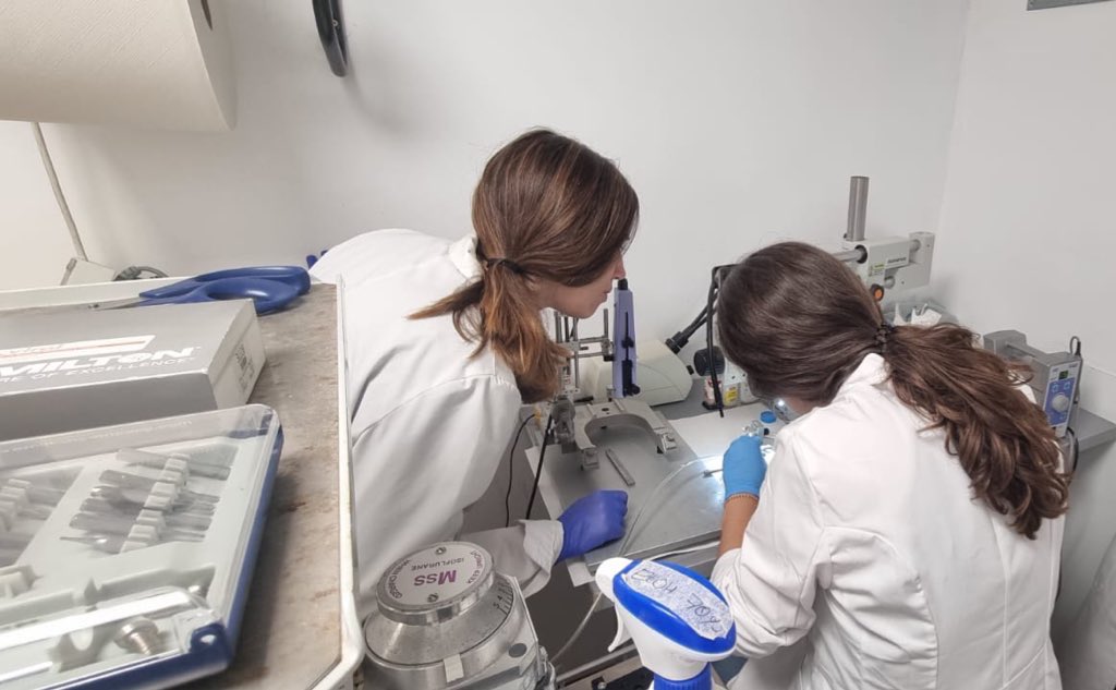 anna_deas's tweet photo. Learning very cool things this week in Cádiz! Thanks to everyone in @AllozaMonica lab 🥰 https://t.co/3IoErNPwZE